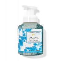 Chasing DaydreamsGentle Foaming Hand Soap